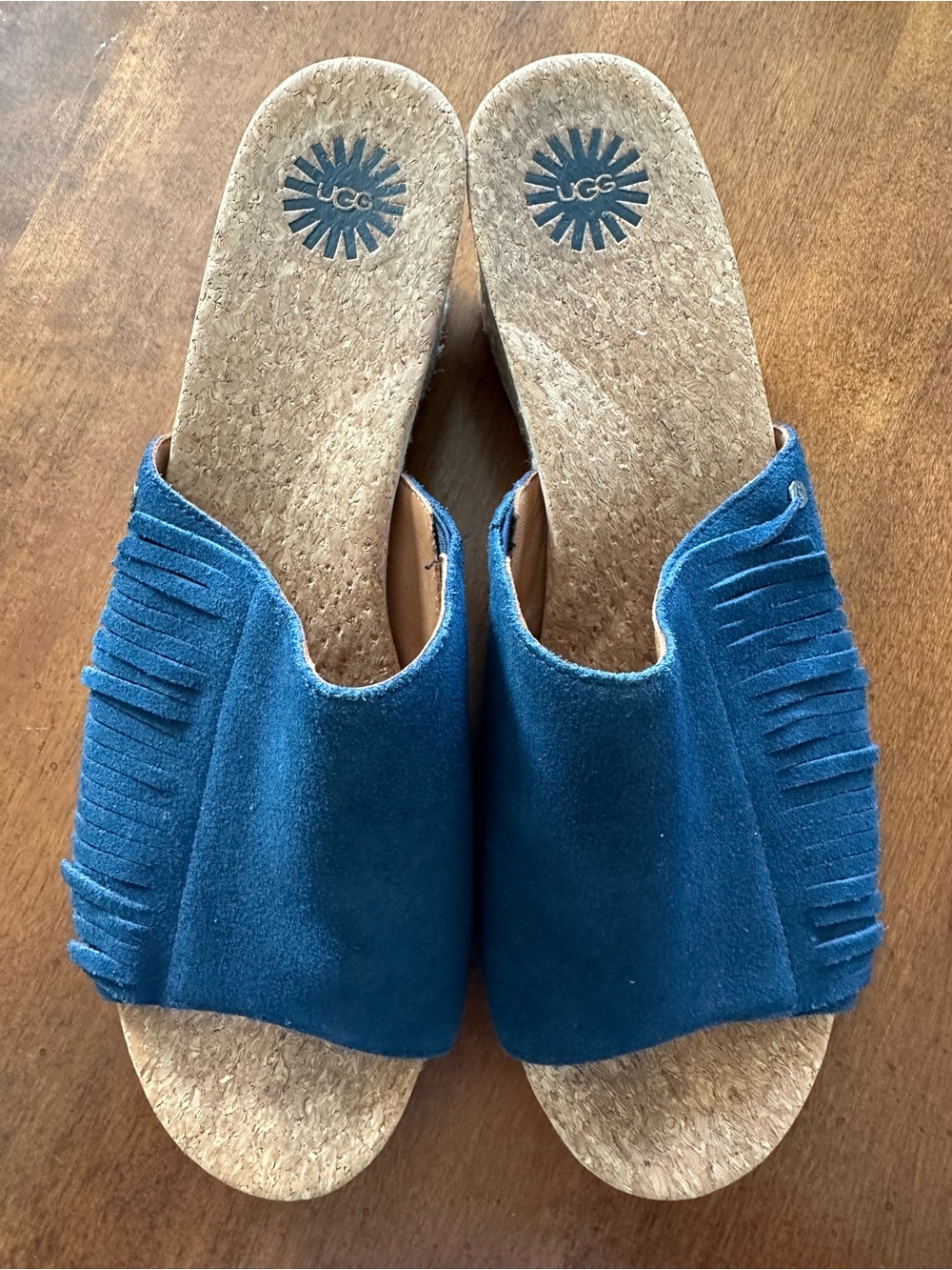 UGG Danes Wedge Suede Sandals Slide Vibrant Blue Size 10